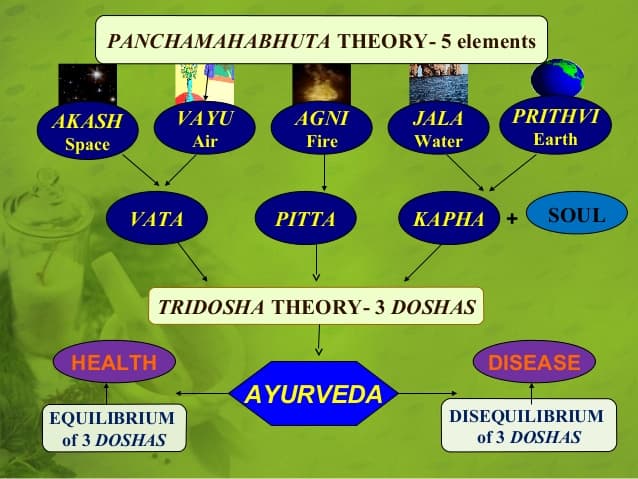 Vata Pitta Kapha Ayurvedic Body Type