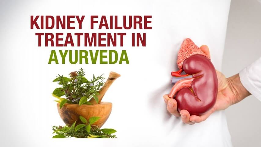 Kidney Failure ( ARF / CRF ) Ayurvedic Herbal Remedies